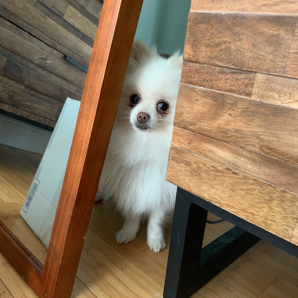 Welcome To My Closet - Picture 11 of 16